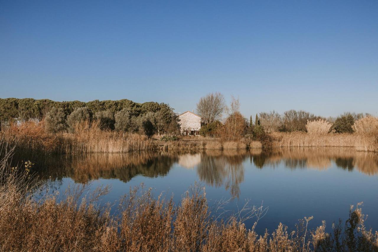 Bed and Breakfast Waya A Domaine Saint Domingue Narbonne Exterior foto