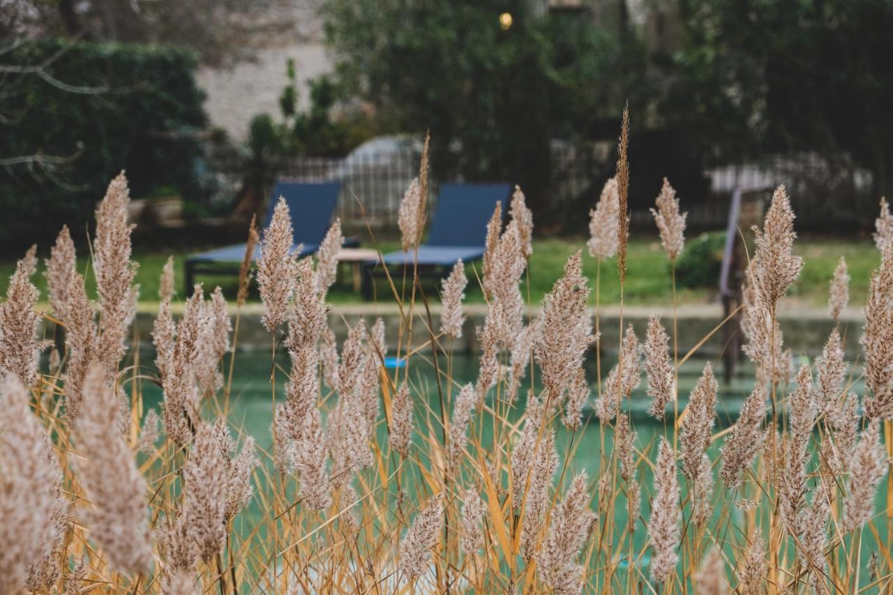 Bed and Breakfast Waya A Domaine Saint Domingue Narbonne Exterior foto