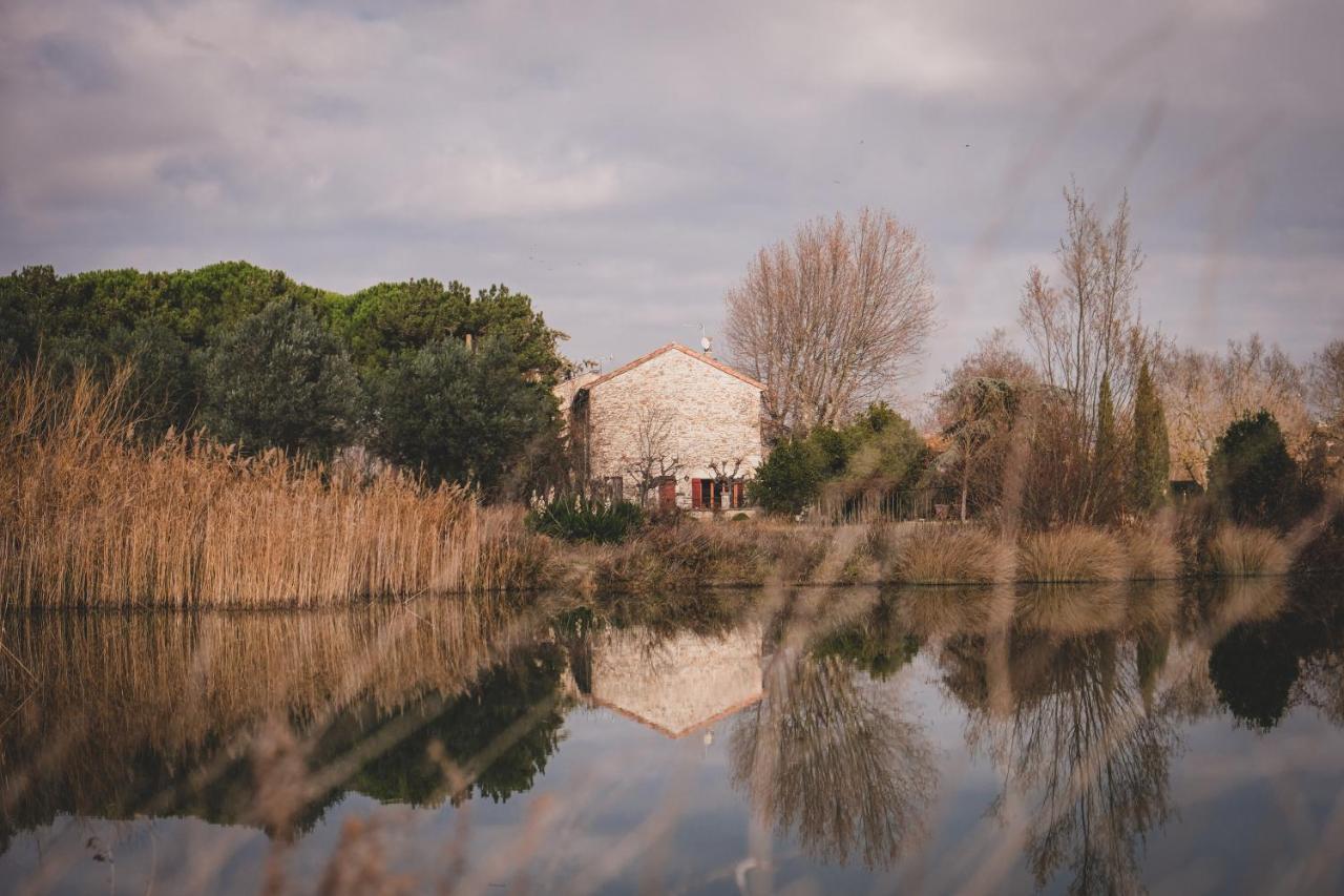 Bed and Breakfast Waya A Domaine Saint Domingue Narbonne Exterior foto